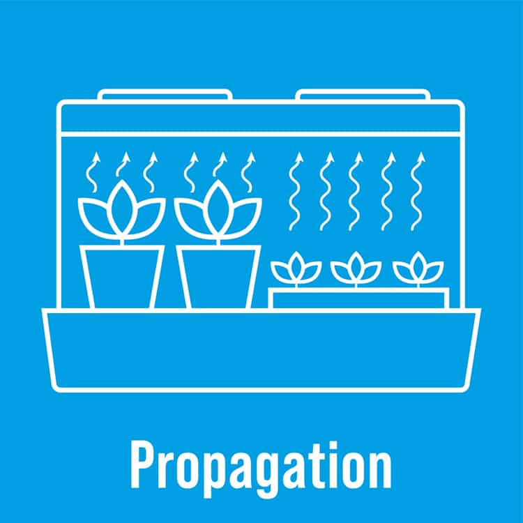 AutoPot propagation