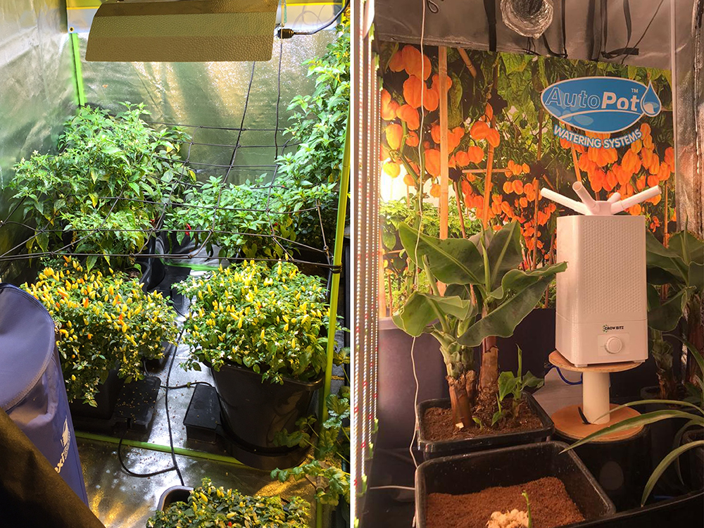 Get in there! The AutoPot Shop By Floorspace function is here to maximise your meterage