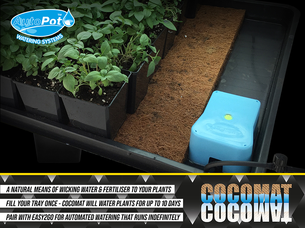 Above: CocoMat (beneath the pots) is a great example of natural, gentle, non-invasive watering