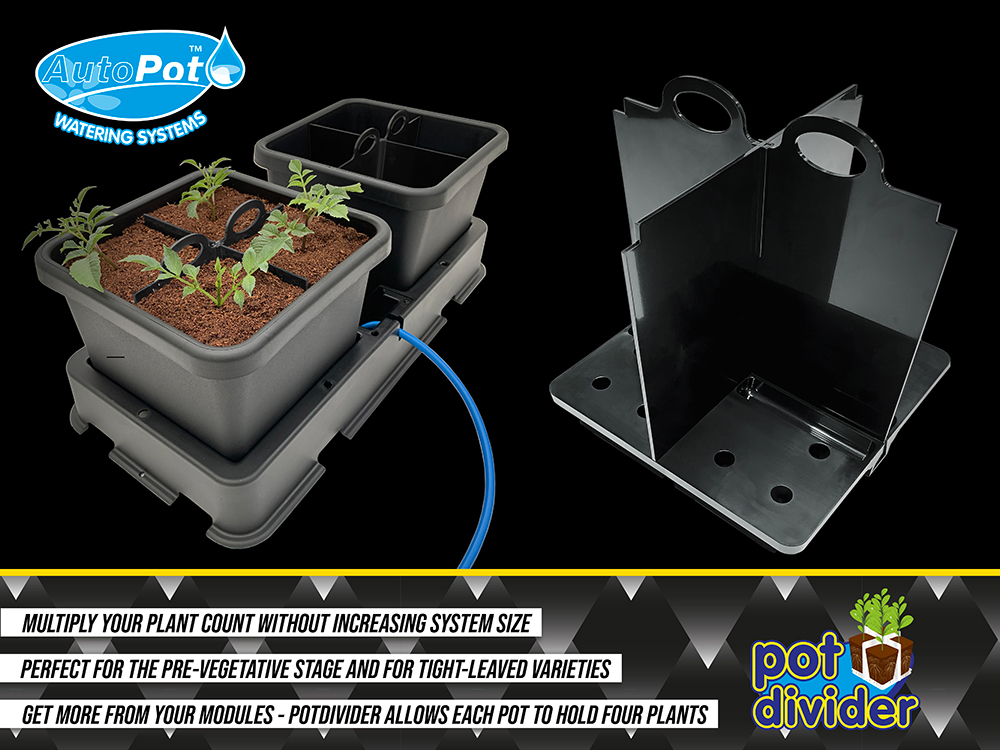 Above: PotDivider allows you to grow multiple small plants in our larger module-based systems