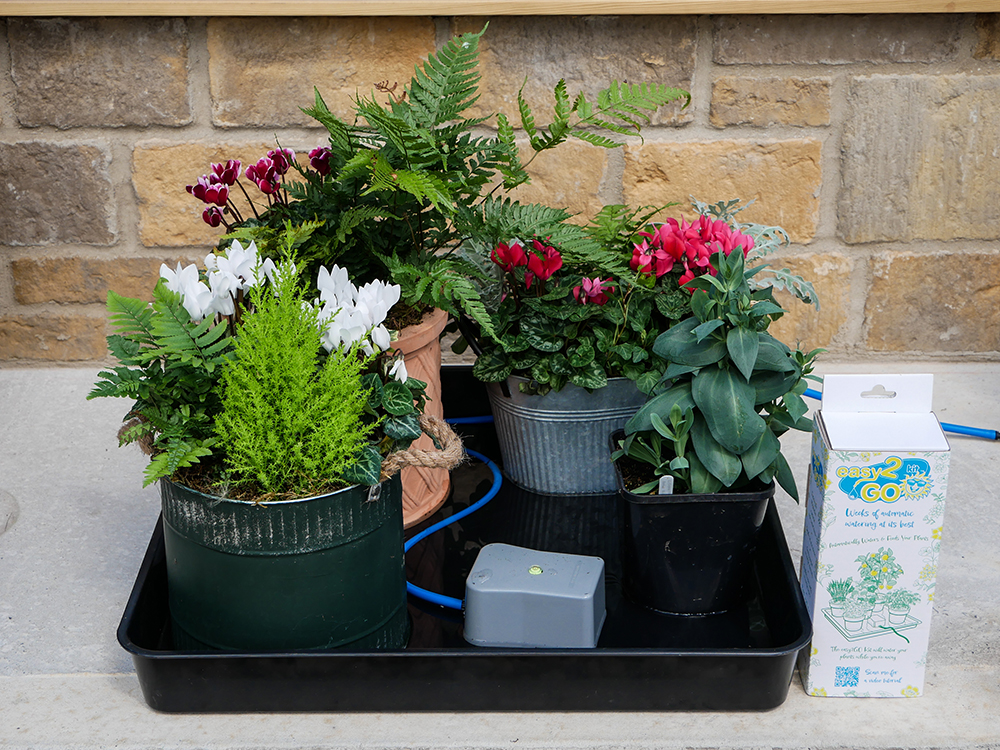 Above: easy2GO can also be used with mature plants for holiday watering