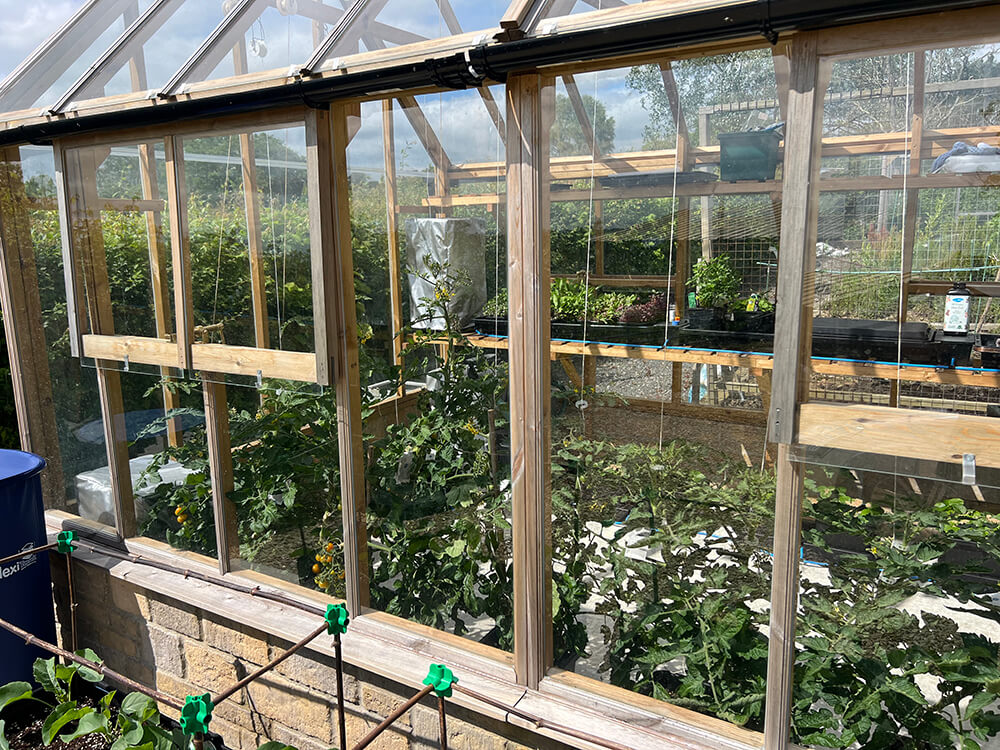 Having a good look at some good-looking plants looking good through the good-looking glass