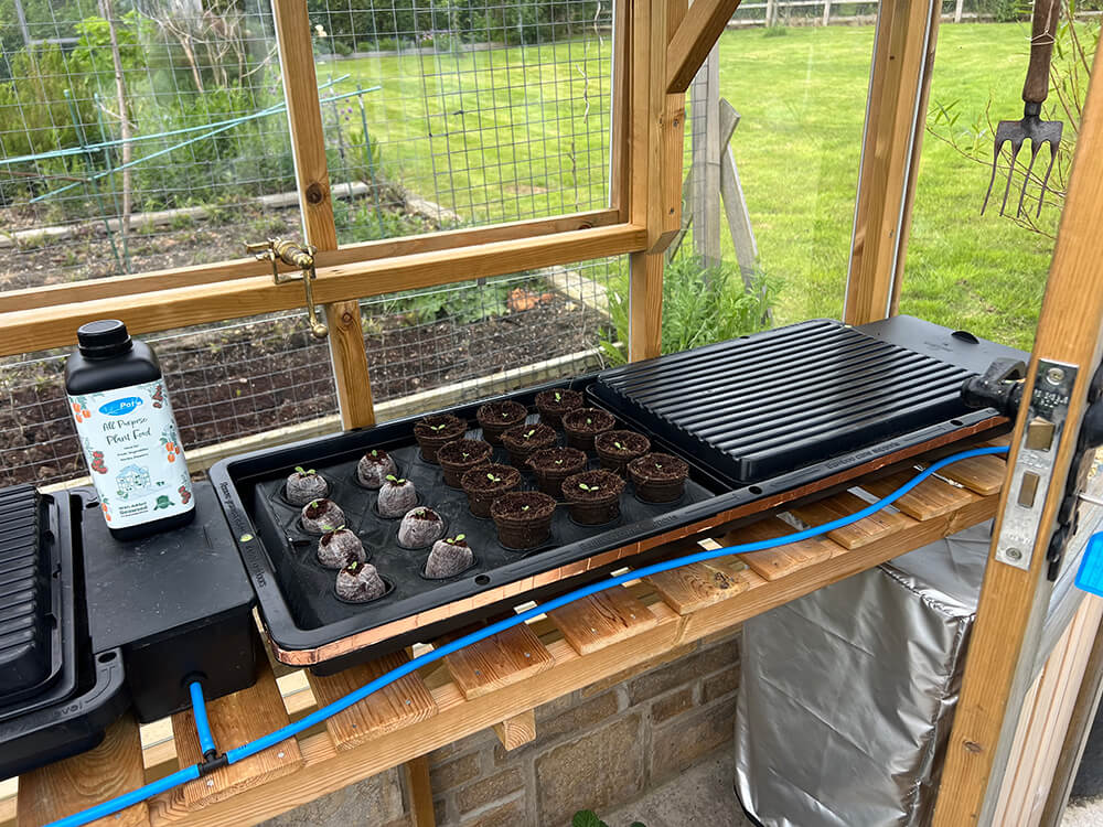 Tray2Grow on a shelf now, with the experimental Lettuce Cultivator (left) and a silicon mesh germination trial (right)