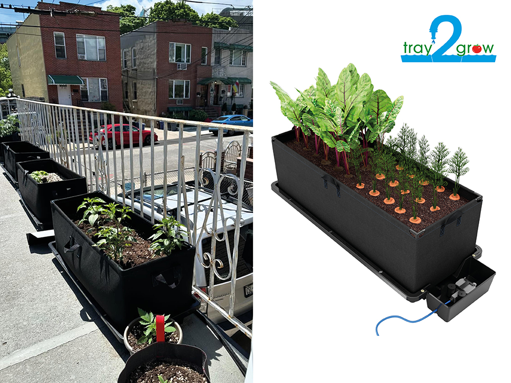 An allotment wherever you grow! Tray2Grow fitted out with our fabric planter allows you to cultivate root veg outdoors even if you’ve no access to beds