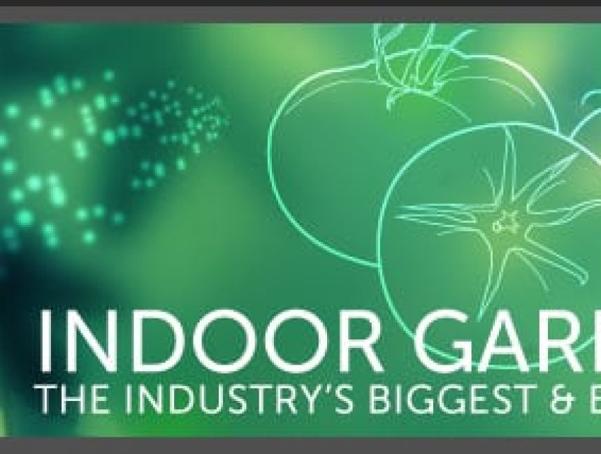 Indoor Gardening Expos